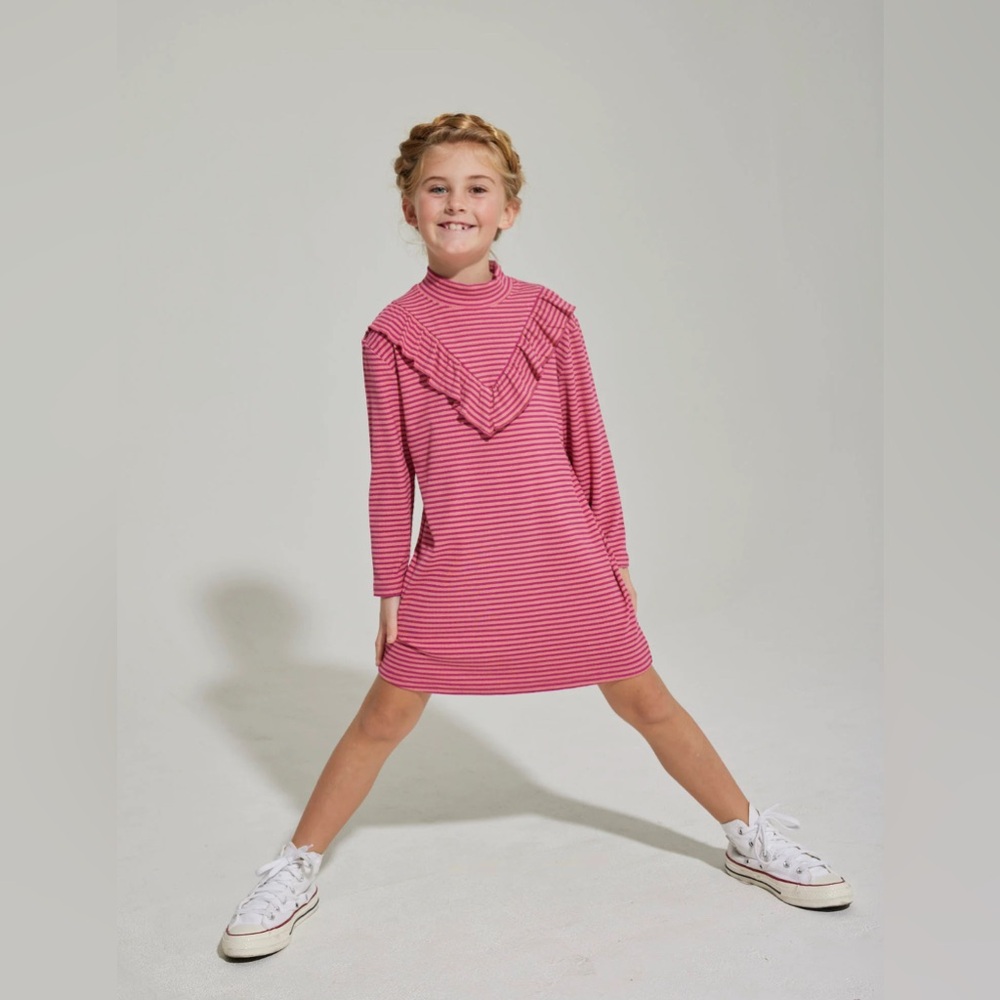 Bisby Aspen Dress Cranberry Metallic Stripe Dress